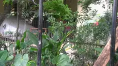 Seorang bocah meninggalkan tasnya di sebuah kebun. Kemudian tas tersebut dicurigai sebuah bom.
