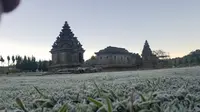 Embun es di kompleks Candi Arjuna, Dataran Tinggi Dieng, Banjarnegara, Jawa Tengah. (Foto: Liputan6.com/UPT Dieng/Muhamad Ridlo)