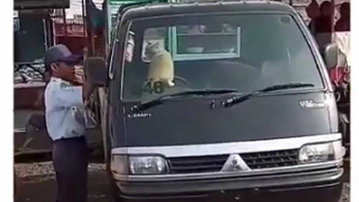 Kocheng Oren Bar-Bar Kembali Berulah, Pencet Klakson Berkali-kali