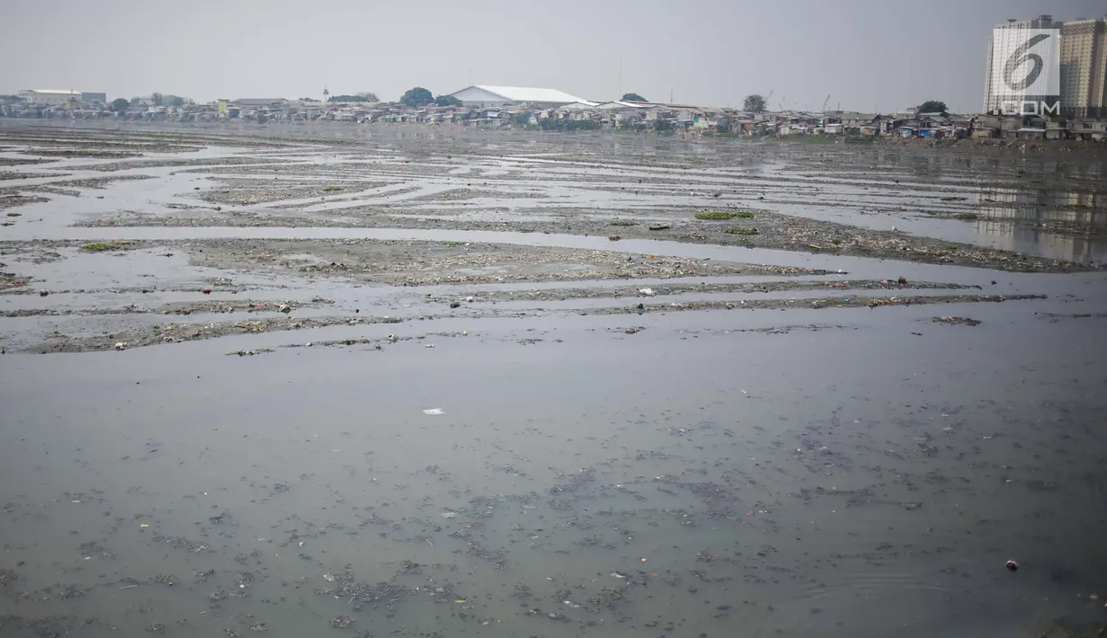 Kondisi waduk Pluit yang mengalami pendangkalan di wilayah Penjaringan, Jakarta Utara, Sabtu (8/6/2019). Endapan lumpur cukup tebal yang diperparah dengan sampah menutupi permukaan air waduk tersebut mengantarkan aroma tidak sedap. (Liputan6.com/Faizal Fanani)