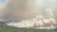 Kebakaran hutan dan lahan di Riau sehingga Pemerintah Provinsi Riau menetapkan status tanggap darurat karhutla. (Liputan6.com/M Syukur)