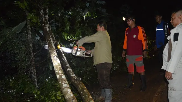 Longsor juga menyebabkan pohon tumbang dan menutup akses jalur utama warga Gumelar ke Kota Kecamatan dan Bumiayu, Brebes. (Foto: Liputan6.com/Muhamad Ridlo/Tagana BMS)
