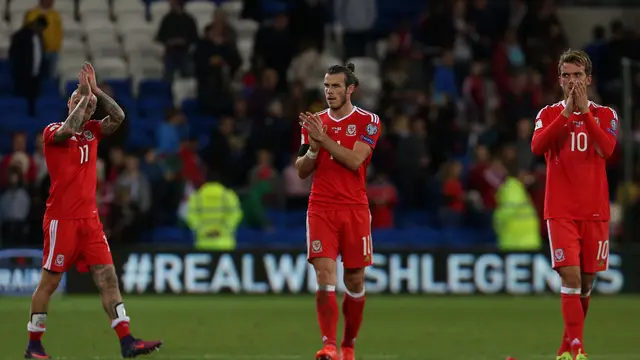 Wales vs Georgia