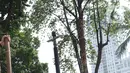 Pengunjung mencoba permainan tradisional Egrang pada Pekan Kebudayaan Nasional di Istora Senayan, Jakarta, Sabtu (12/10/2019). Perhelatan itu dimeriahkan kompetisi olahraga tradisional berupa permainan rakyat seperti egrang, lari balok, terompah panjang, dan hadang.. (Liputan6.com/Angga Yuniar)