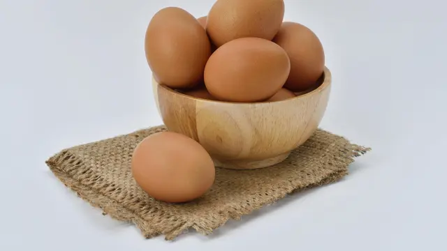 Sumber Protein Berkualitas Tinggi