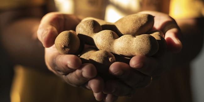 Asam jawa untuk mengatasi bekas jerawat | Photo: Copyright Thinkstockphotos.com 