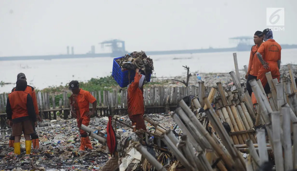 Petugas mengangkut sampah plastik yang menumpuk di kawasan wisata hutan Mangrove Muara Angke, Jakarta, Sabtu (17/3). (Merdeka.com/Imam Buhori)
