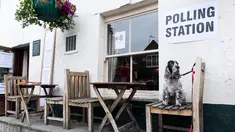 Anjing jenis Cocker Spaniel, Tilly, duduk di atas kursi di luar Anglesea Arms yang dijadikan tempat pemungutan suara di London, Kamis (8/6). Para anjing itu ikut menemani majikan mereka yang ambil bagian dalam Pemilu Inggris. (Justin TALLIS/AFP)