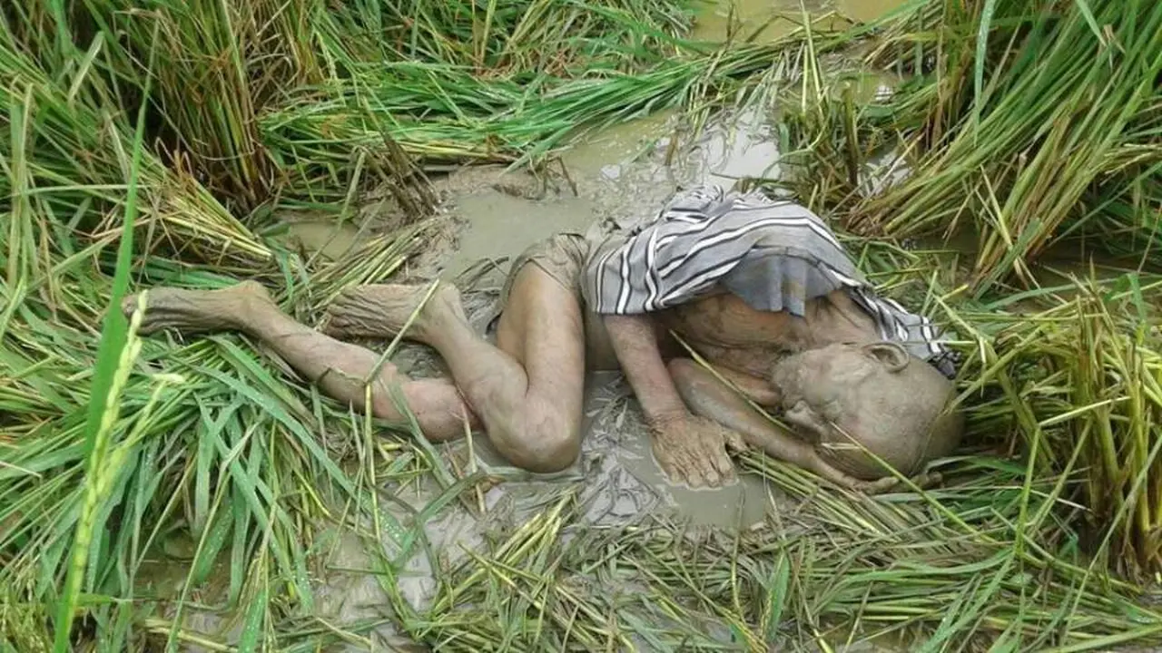 Kasihan, Seorang Pria Tua Ditemukan Tertidur Pulas di Sawah