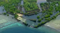 Misteri Kota Kuno di Pulau Terpencil Tengah Samudra Pasifik (Science Channel's What on Earth?)