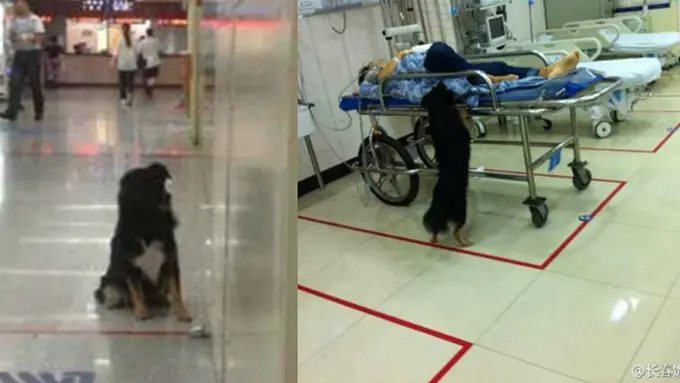 Photo copyright Shanghaiist.com