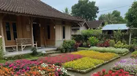 10 Inspirasi Rumah Sederhana dengan Taman Bunga di Desa, Bikin Nyaman dan Betah
