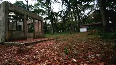 (Liputan6.com)