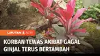 Korban yang meninggal akibat gagal ginjal akut terus bertambah. Seorang bayi di Kota Tasikmalaya, Jawa Barat, meninggal saat hendak dirujuk ke rumah sakit. Bayi berusia 11 bulan tersebut sempat alami panas dan kesulitan buang air kecil.