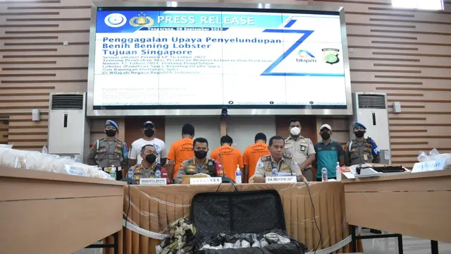 Kementerian Kelautan dan Perikanan (KKP) dan Polri berhasil mengagalkan penyelundupan benih bening lobster senilai Rp 3,9 miliar.
