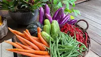 Mengenal Manfaat Setiap Gigitan Sayur Buncis bagi Kesehatan