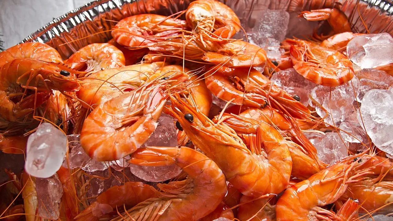 Ilustrasi Udang