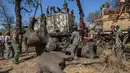 Seokar gajah diangkat menggunakan alat berat saat akan dipindahkan di Majete Game Reserve, Malawi selatan (14/7). Selain itu pemindahan gajah ini juga bertujuan untuk meningkatkan daya tarik wisata.(AFP Photo/Amos Gumulira)