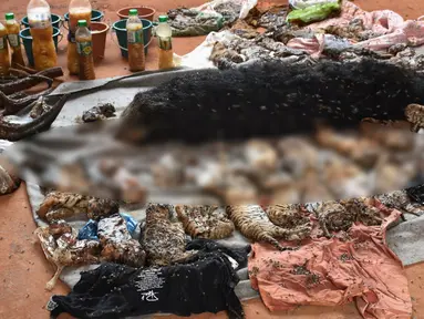 Tampak bangkai puluhan anak Harimau yang ditemukan dari kuil harimau, Bangkok , Thailand, Rabu (1/6/2016). Otoritas satwa liar Thailand menemukau 40 bangkai anak harimau di dalam freezer di kuil harimau tersebut. (Daily News/via REUTERS)