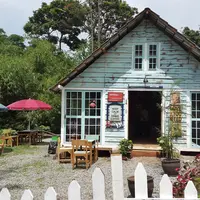 Mengunjungi 14 kafe nyaman di Bandung yang cocok untuk 'ngopi cantik;. (Via: poppylatifah.com)