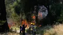 Kebakaran tersebut diperparah oleh cuaca panas dan angin kencang, sehingga mempercepat penyebaran api. Tampak dalam foto, petugas pemadam kebakaran Chili bekerja saat kebakaran hutan di Concepcion, Chile pada 18 Januari 2026. (Raul BRAVO/AFP)