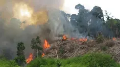  Titik panas yang mengindikasikan terjadinya kebakaran hutan dan lahan di Pulau Sumatera