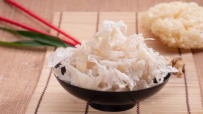 copright sarangburung123.com