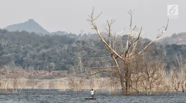 Warga menjaring ikan di Waduk Jatigede, Desa Cipaku, Sumedang, Jawa Barat, Senin  (17/9). Musim kemarau yang menyurutkan waduk Jatigede dimanfaatkan Warga untuk menjaring ikan dan mengumpulkan puing bangunan serta kayu. (Liputan6.com/Herman Zakharia)