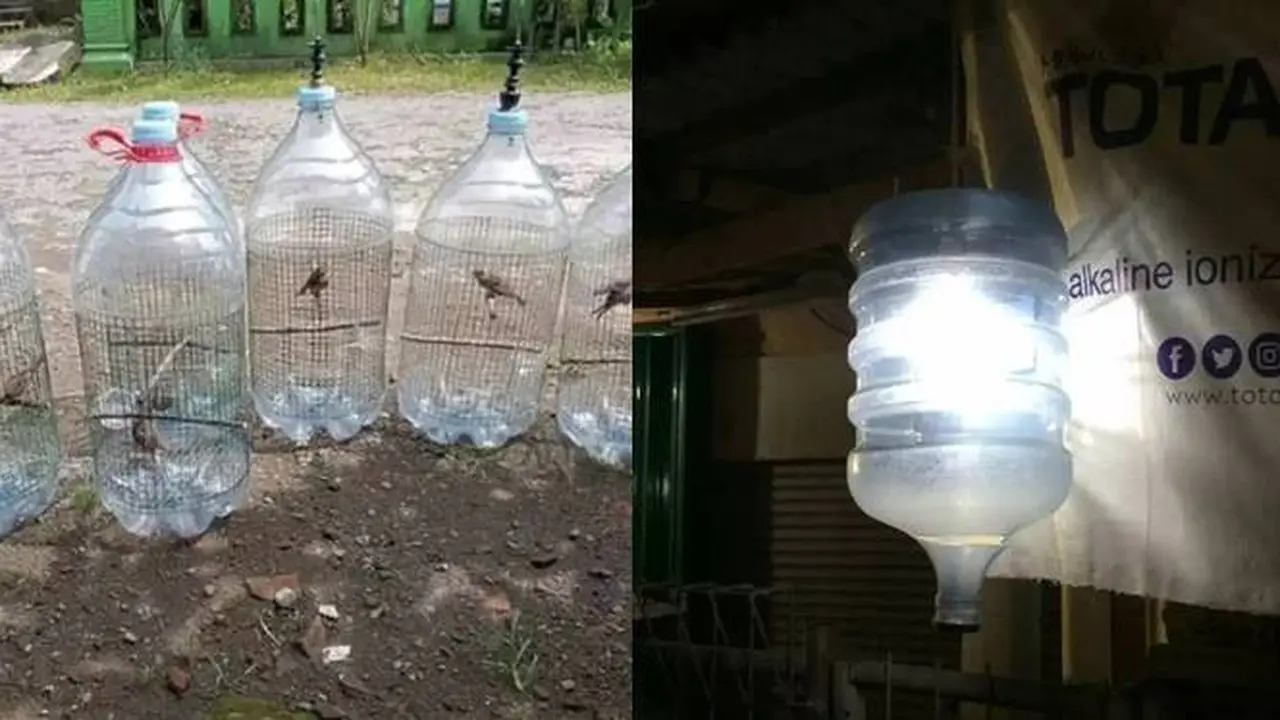 7 Potret Nyeleneh Alih Fungsi Galon Air Ini Kreatif Banget, Jadi Kandang Burung