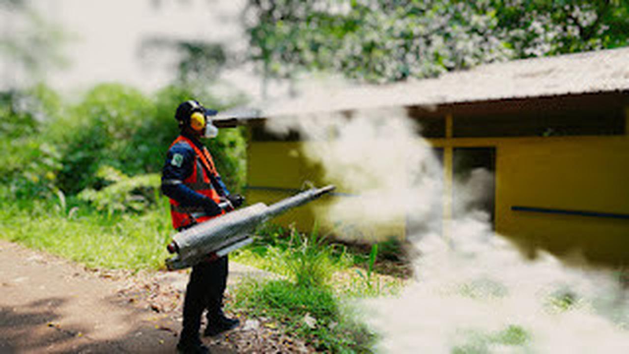 Ini Pentingnya Perusahaan Terapkan Keselamatan dan Kesehatan Kerja