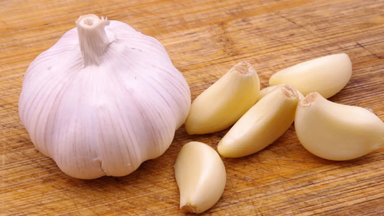 Foto: copyright Shutterstock.com
