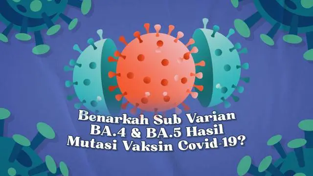 Berbagai varian dan sub varian virus corona muncul akibat adanya proses mutasi. Beredar kabar bahwa sub varian BA.4 dan BA.5 merupakan hasil mutasi dari vaksin Covid-19. Benarkah?