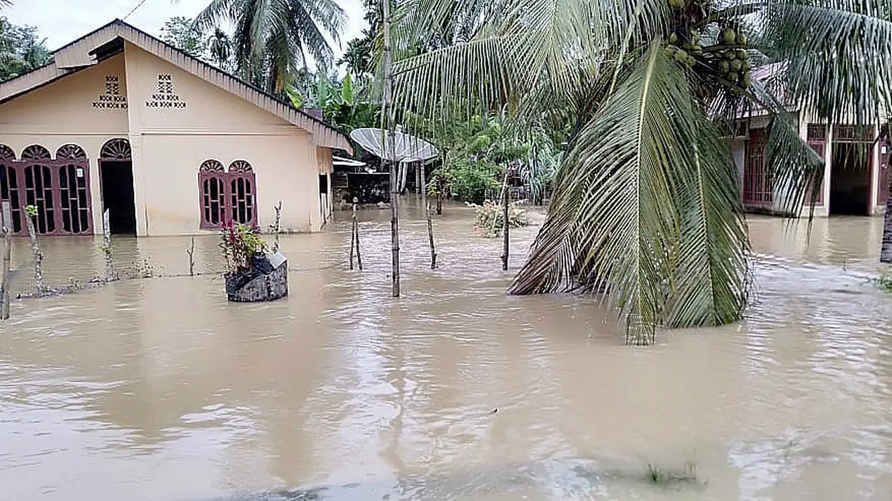 Penampakan banjir di Aceh (Ist)