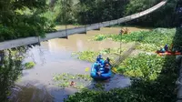 Menggunakan perahu karet dan alat seadanya, sejumlah relawan nampak tengah membersihkan sumbatan sungai Cimanuk akibat pertumbuhan eceng gondok (Liputan6.com/Jayadi Supriadin)
