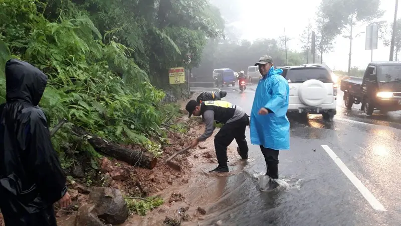 Cuaca buruk di Puncak Bogor tidak hanya menyebabkan bencana longsor dan pohon tumbang, tetapi juga berdampak pada kunjungan wisata.