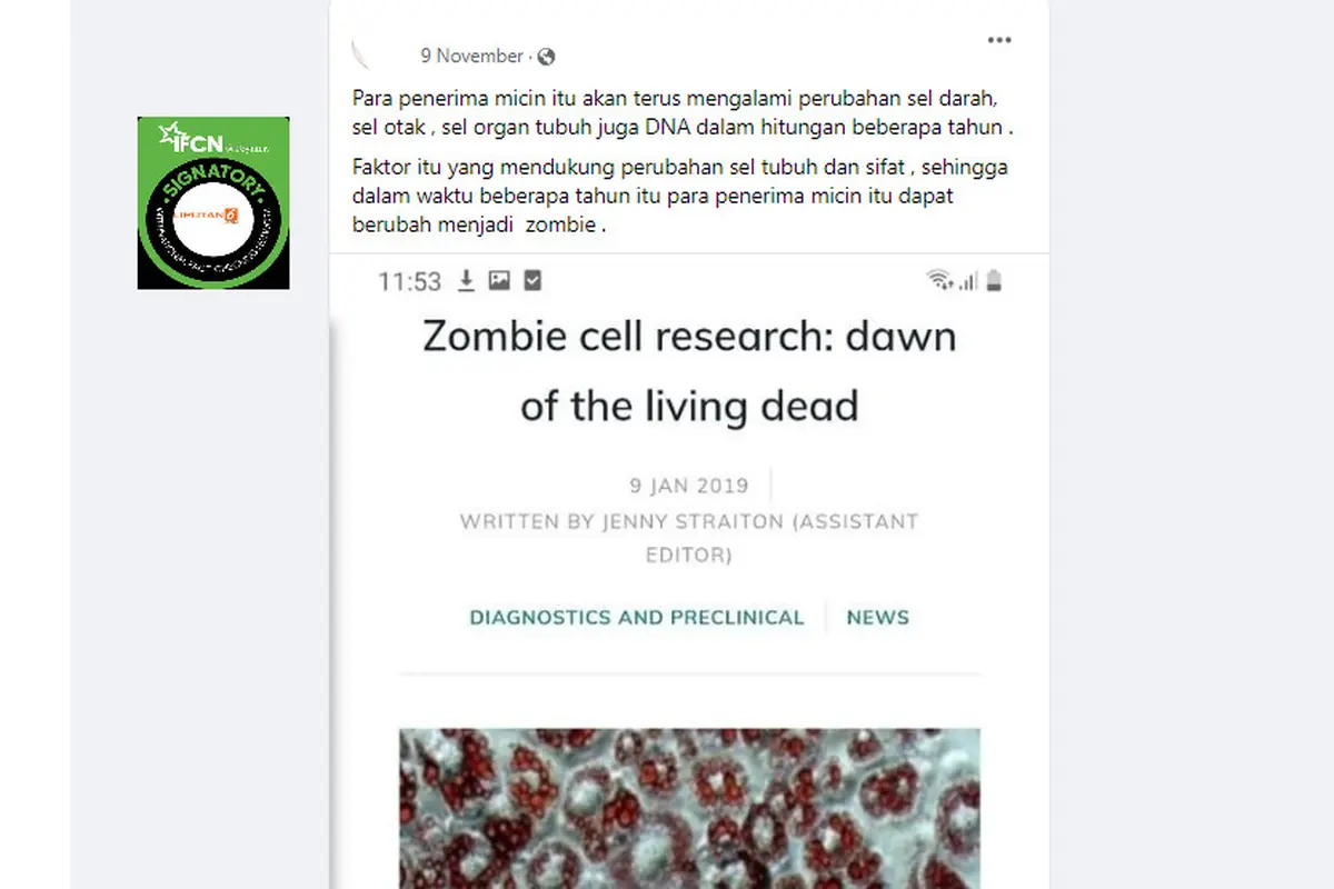 Tangkapan layar klaim penerima vaksin akan berubah menjadi zombie