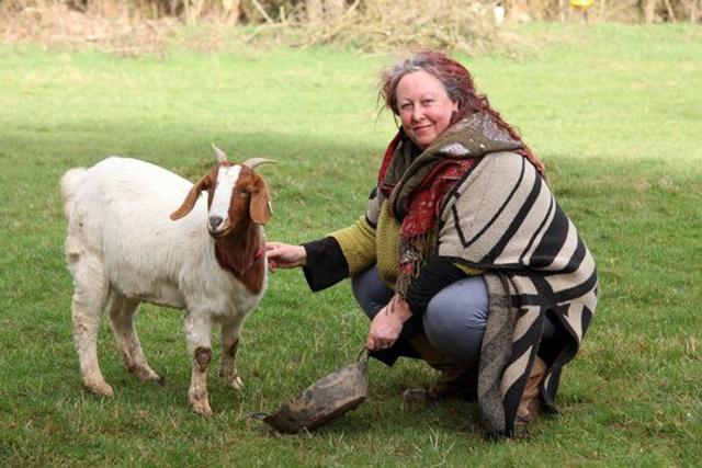 Kate dan ternak kambingnya | Photo: Copyright mirror.co.uk