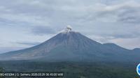 Gunung Semeru Erupsi Tinggi Letusan capai 800 Meter (Istimewa)