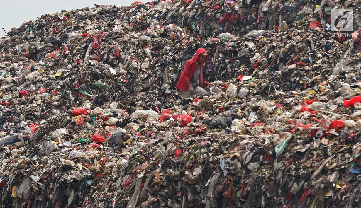 Pemulung mengais sampah di Tempat Pembuangan Akhir (TPA) Cipayung, Depok, Jawa Barat, Senin (16/9/2019). Pemerintah Kota (Pemkot) berencana mengalihkan pembuangan sampah dari TPA Cipayung ke TPA Regional Lulut-Nambo di Kabupaten Bogor, Jawa Barat. (Liputan6.com/Herman Zakharia)