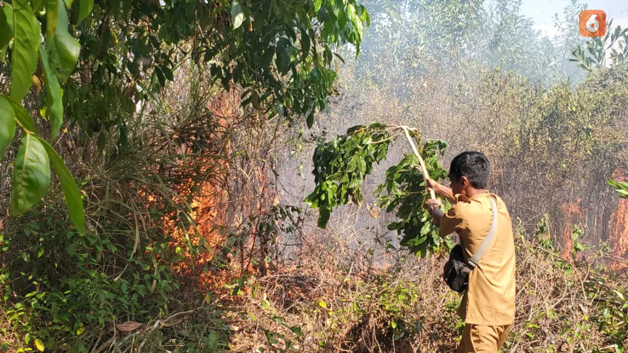 Karhutla Kalimantan Selatan Kalsel Banjarbaru