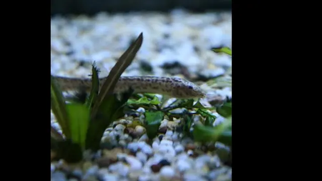 Foto: copyright mmn.com