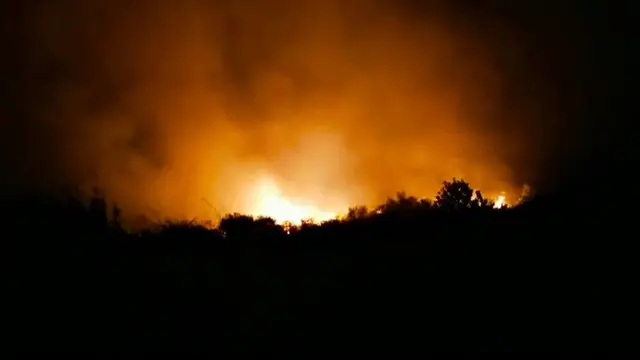 Kebakaran lahan di Jalan Riau ujung, Pekanbaru, melumat semak belukar dan mengepulkan kabut asap.