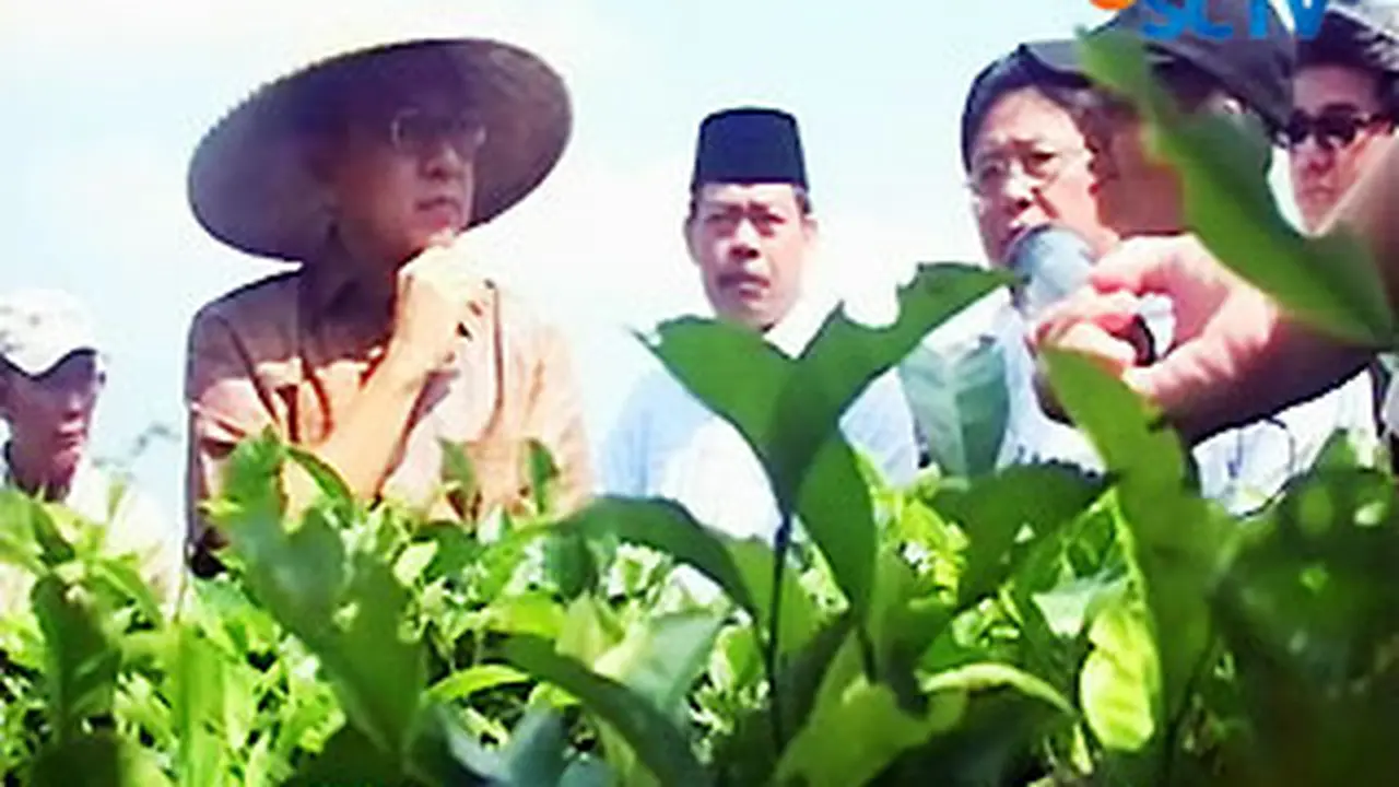 liputan6