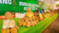Musim durian telah tiba, dimana-mana sangat mudah mendapatkan dan mencicipi durian lokal yang bercita rasa legit, manis, berdaging tebal dan juga membuat ketagihan.