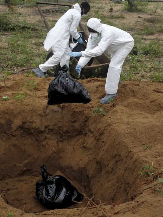 Petugas membuang bangkai ayam yang mati terkena wabah virus flu burung ke dalam sebuah lubang untuk dibakar di peternakan di desa Modeste, Pantai Gading, Afrika Barat, Jumat (14/8/2015). (REUTERS/Luc Gnago)