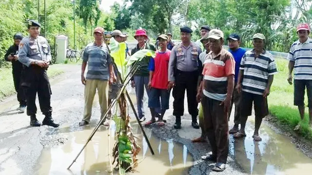 Warga Kendalsari, Pemalang menanami jalan dengan pohon pisang . (Foto: Liputan6.com/Polres Pemalang/Muhamad Ridlo)