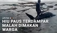 Hiu Paus Terdampar, Malah Dimakan Warga