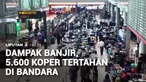 Banjir besar yang melanda Bangkok, Thailand, turut mengganggu aktivitas penerbangan. Sebanyak 5.600 bagasi milik penumpang Thai Airways menumpuk di bandara.