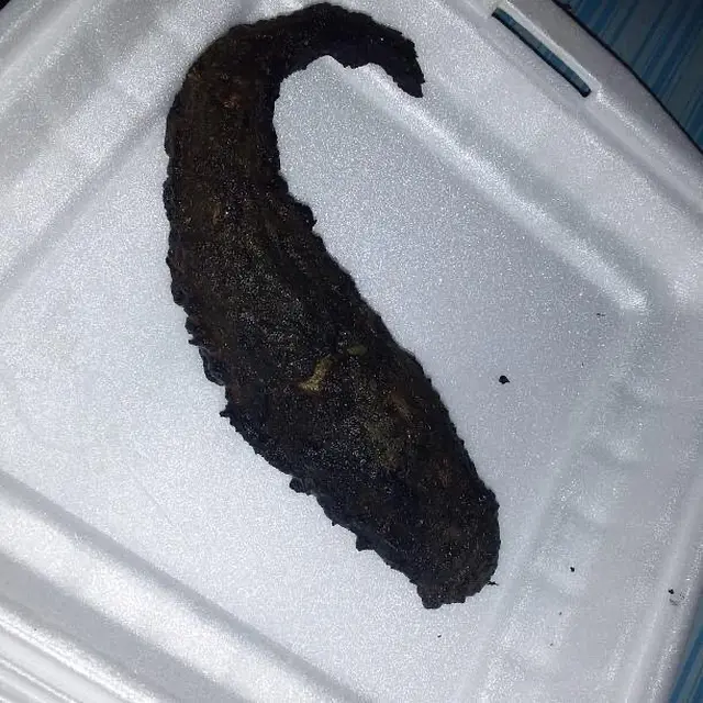 6 Momen Apes Dapat Makanan Gosong ketika Beli Online Ini Bikin Elus Dada