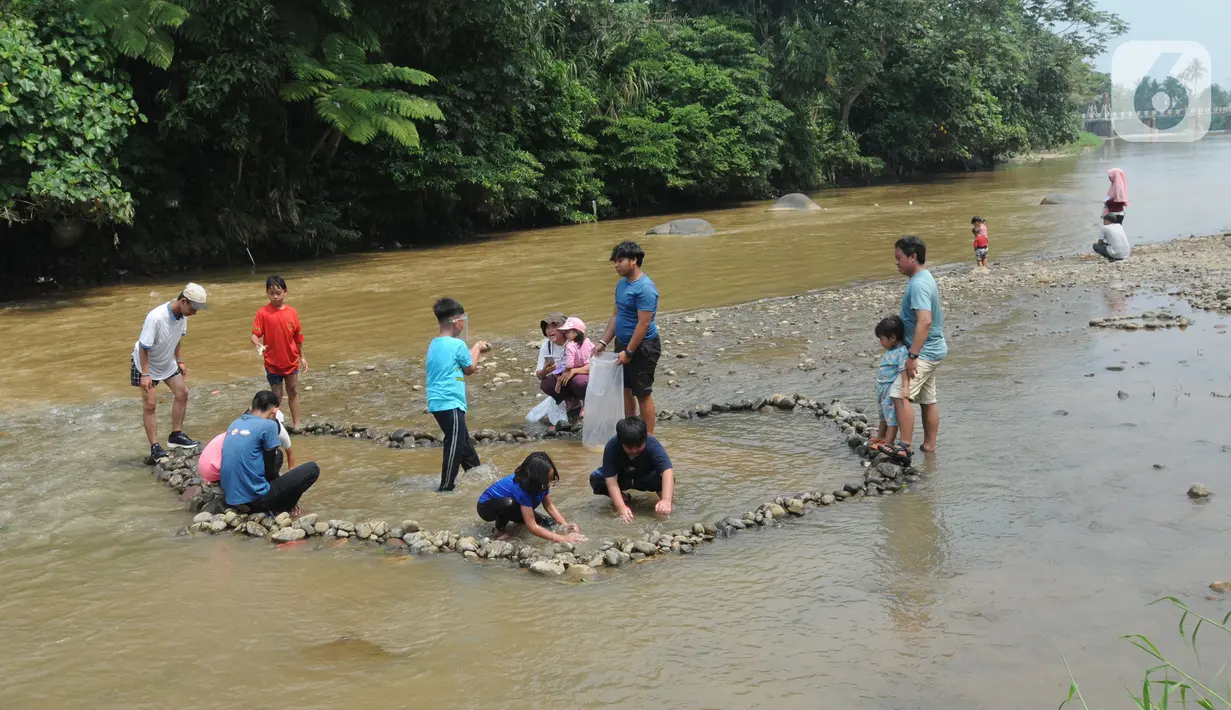 Anak-anak  menangkap ikan pada aliran Sungai Ciliwung di kawasan Bendungan Katulampa, Bogor, Minggu (15/5/2022). Kegiatan bermain sambil mengenalkan alam kawasan daerah aliran sungai (DAS) Ciliwung seperti hiking, menangkap ikan dan rafting yang diadakan oleh Hiking Bocah ini dilakukan setiap akhir pekan dengan biaya Rp 115 ribu/paket anak. (merdeka.com/Arie Basuki)